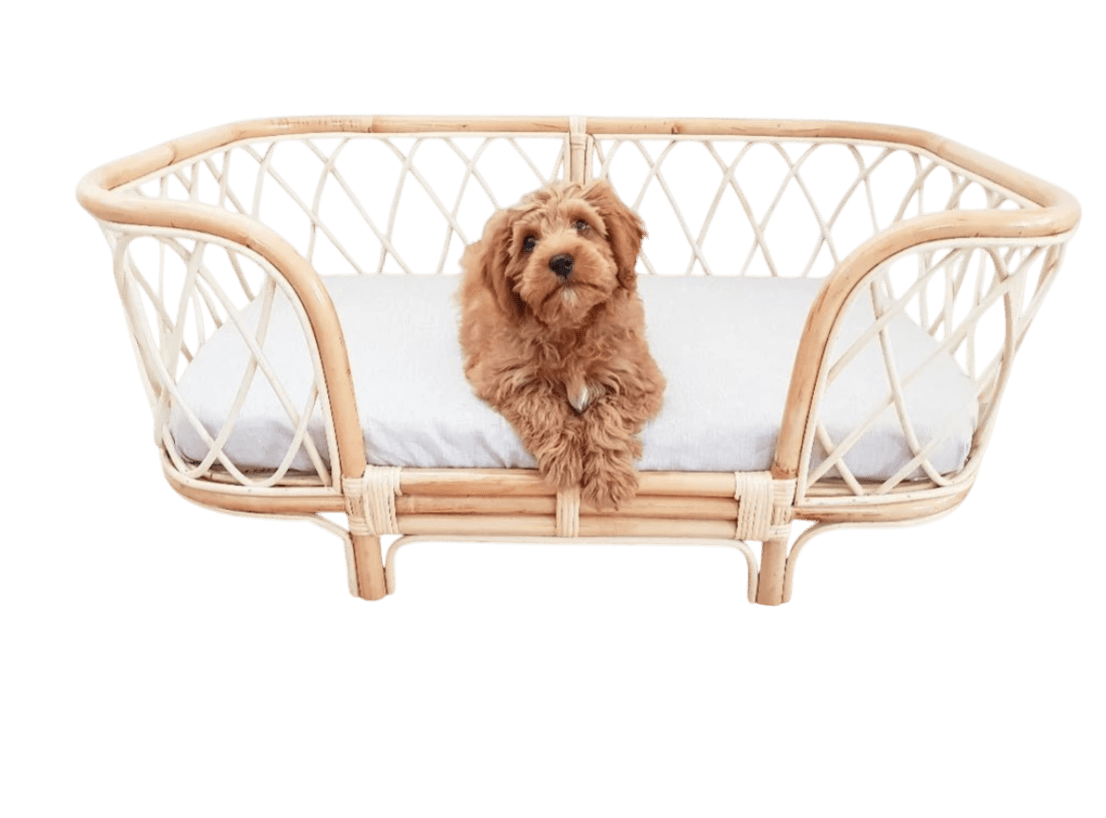 Bella Rattan Dog Bed (2 Sizes)-0