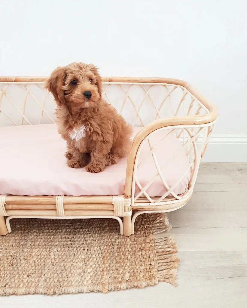 Bella Rattan Dog Bed (2 Sizes)-3