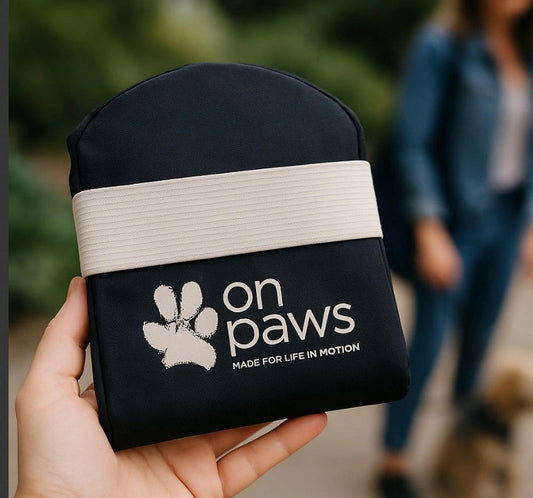 Hollydaz Foldable Dog Carrier – Limited Edition Pre-Sale