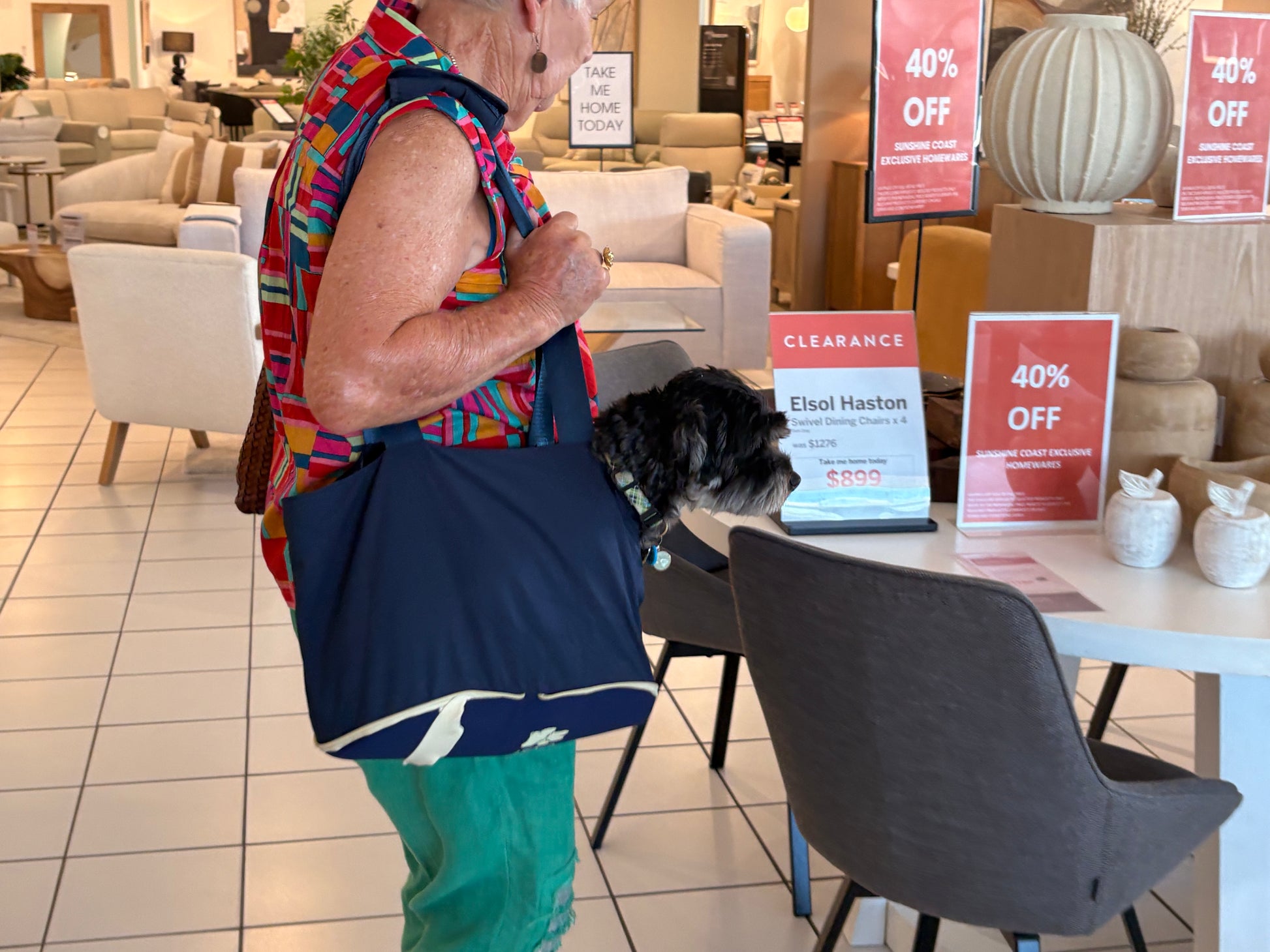 Dog peeking out of The Hollydaz compact foldable dog bag, worn as a shoulder carrier