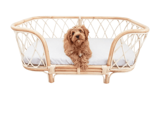 Bella Rattan Dog Bed (2 Sizes)-0