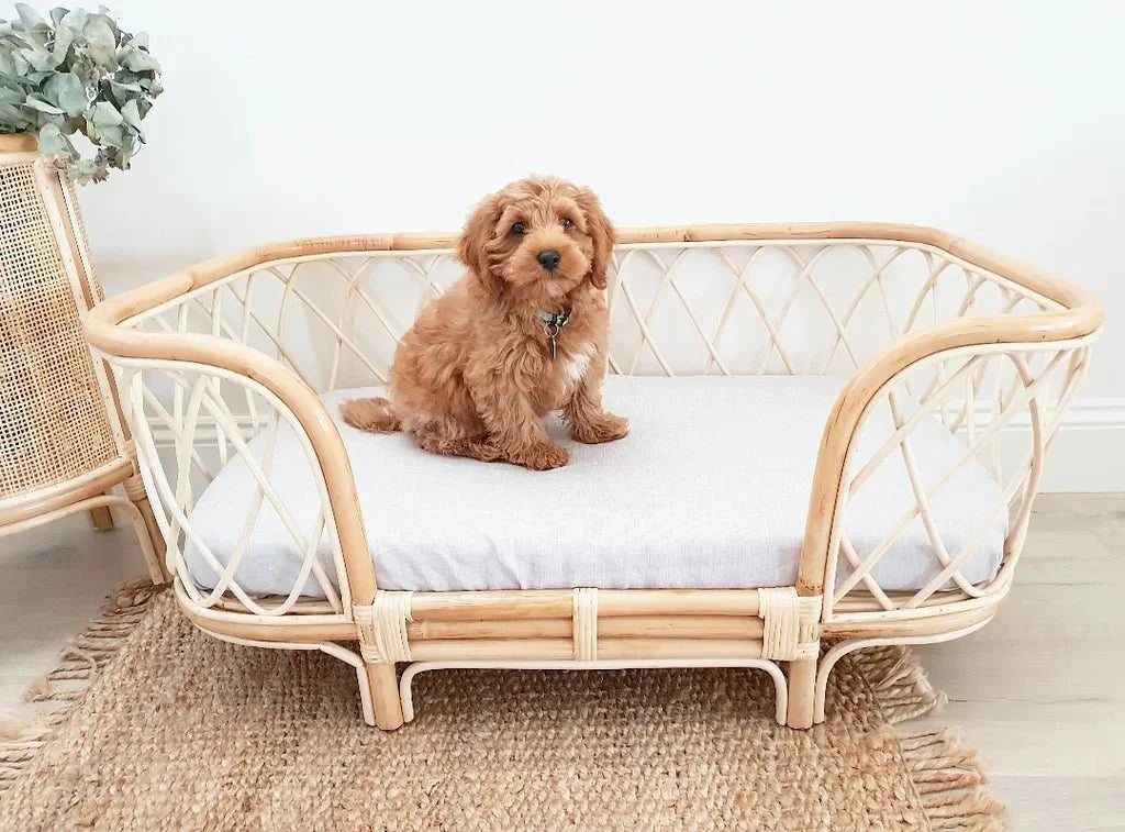 Bella Rattan Dog Bed (2 Sizes)-2