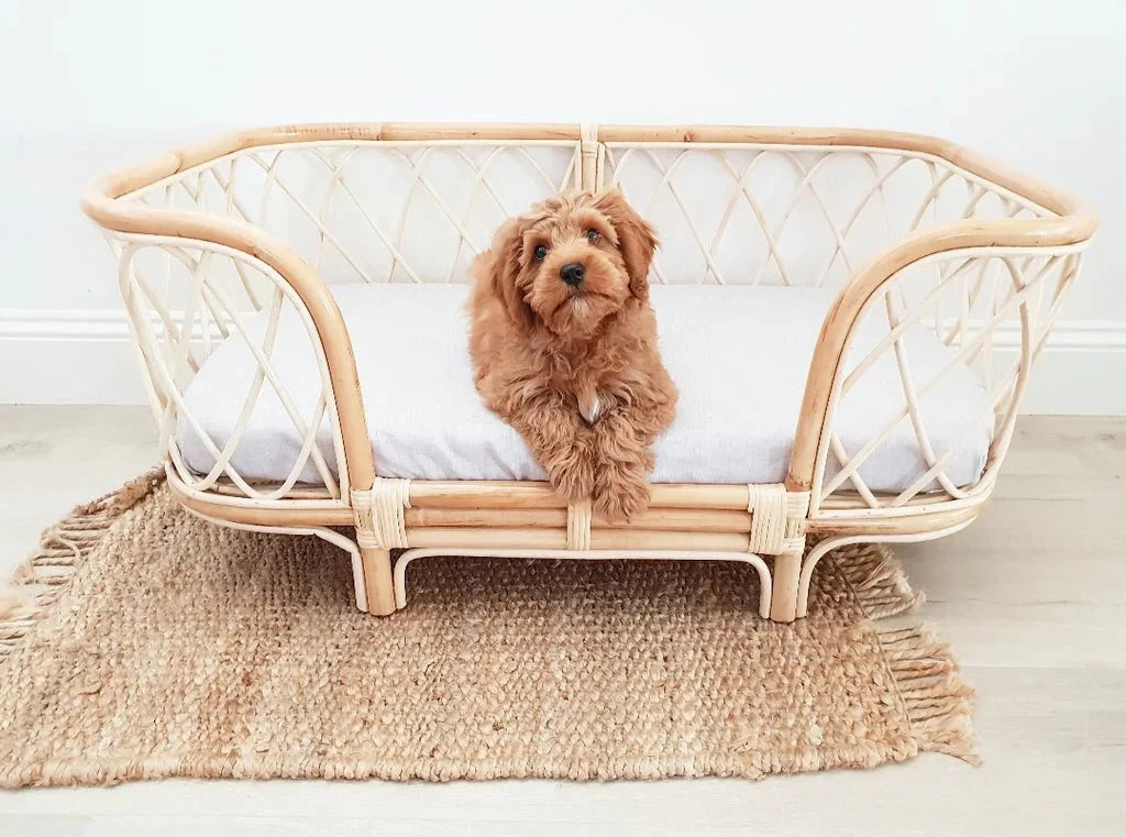 Bella Rattan Dog Bed (2 Sizes)-1
