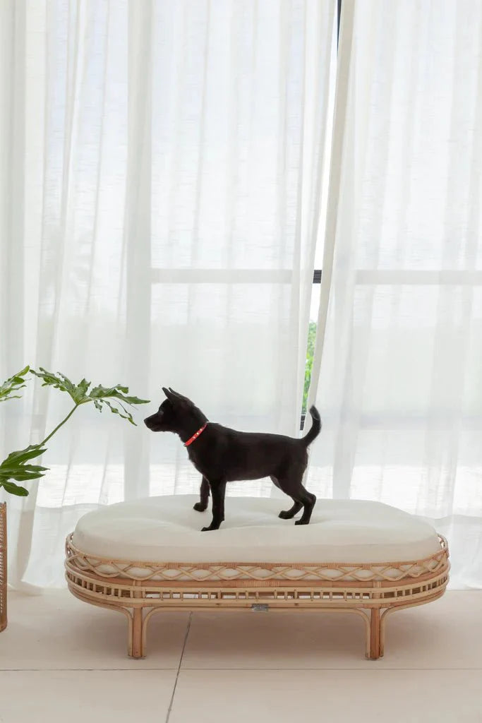 Frankie Rattan Dog Bed-1