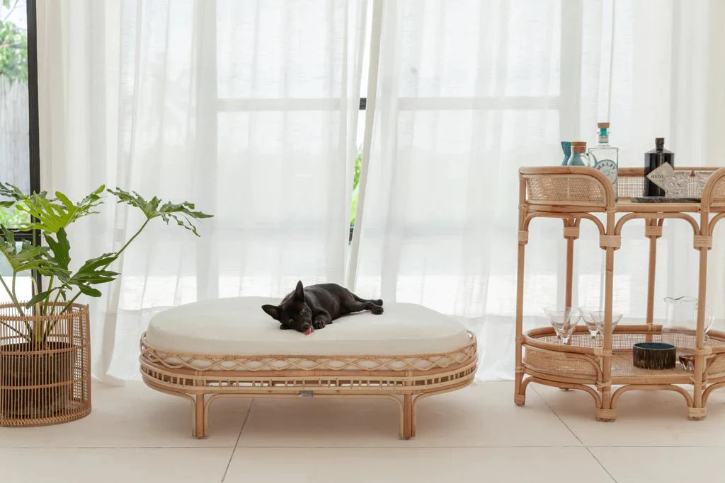 Frankie Rattan Dog Bed-2