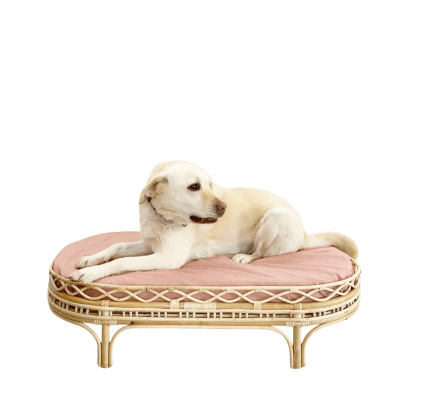 Frankie Rattan Dog Bed-0