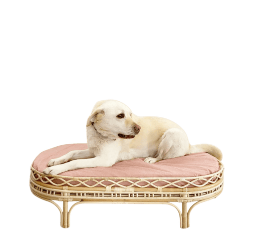 Frankie Rattan Dog Bed-0
