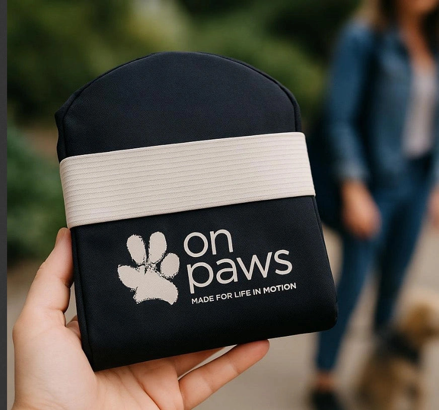 Hollydaz Foldable Dog Carrier – Limited Edition Pre-Sale